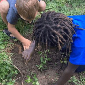 Farm School 2025