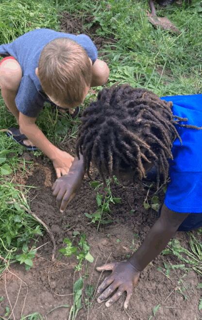 Farm School 2025